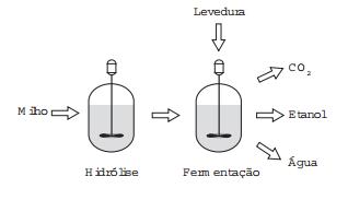 Imagem da questão
