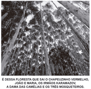 Imagem da questão