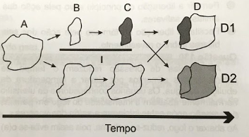Imagem da questão
