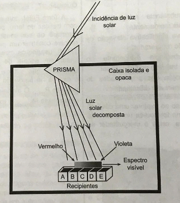 Imagem da questão