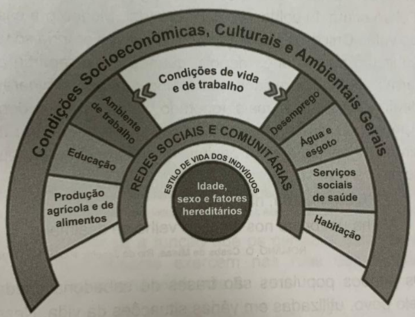 Imagem da questão
