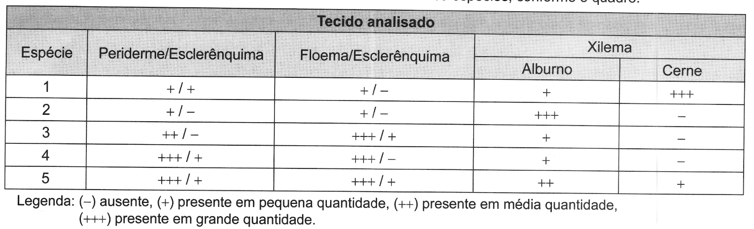 Imagem da questão