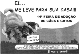 Imagem da questão