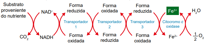Imagem da questão