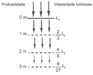 Imagem da questão