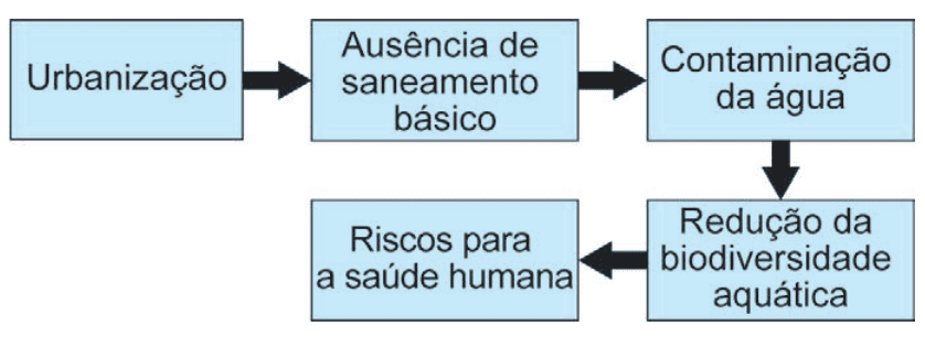 Imagem da questão