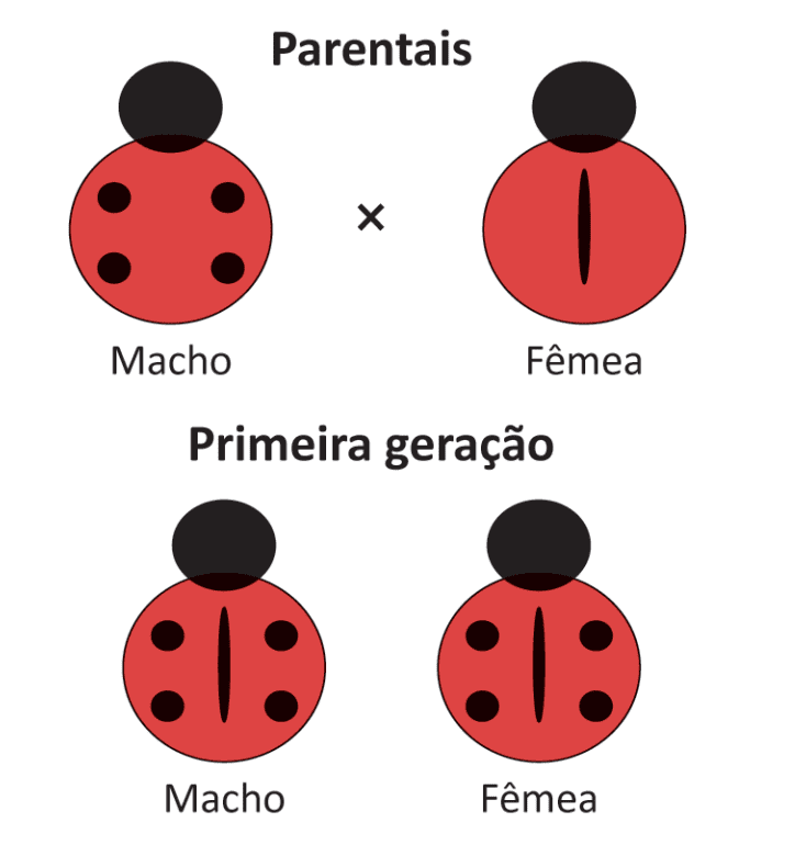 Imagem da questão