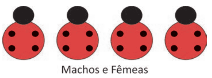 Imagem da alternativa
