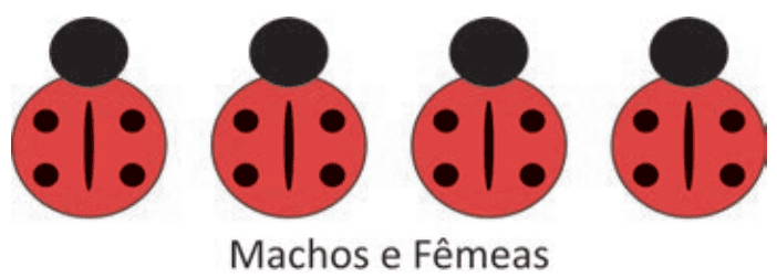 Imagem da alternativa