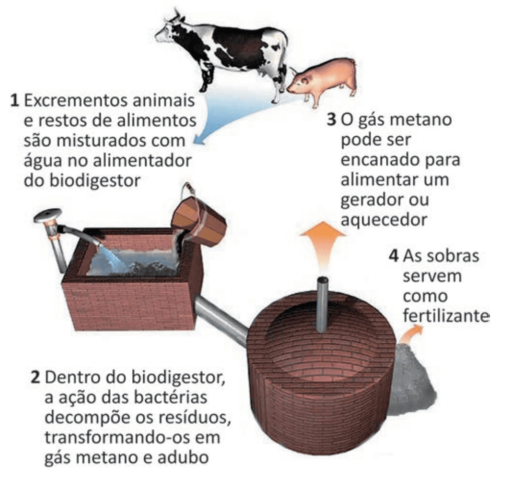 Imagem da questão