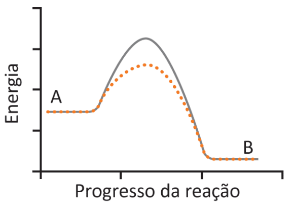 Imagem da alternativa