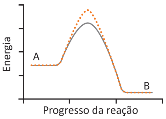 Imagem da alternativa