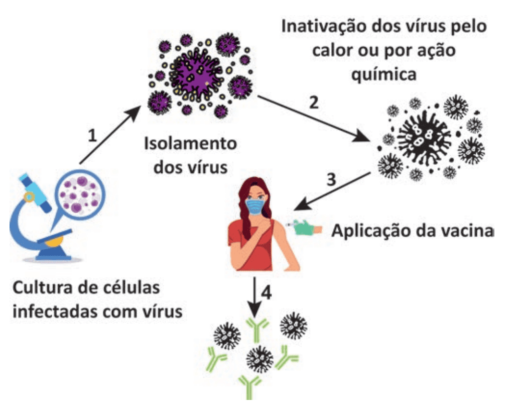 Imagem da questão