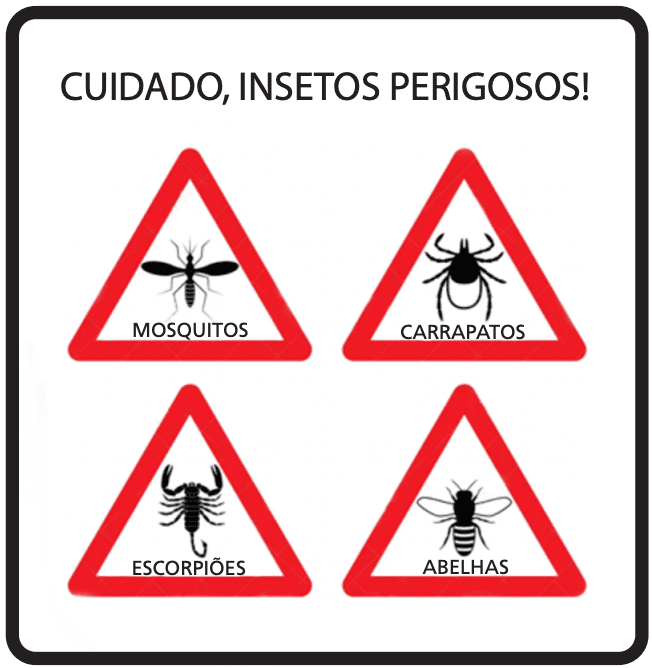 Imagem da questão
