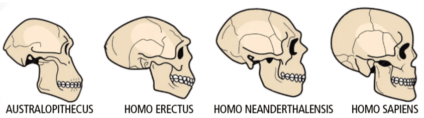 Imagem da questão